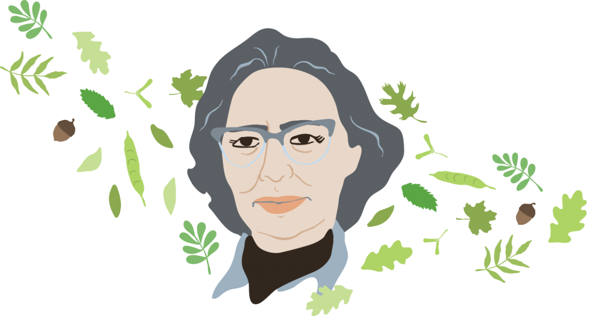 Margret Hofman - Illustration by Aimee Aubin