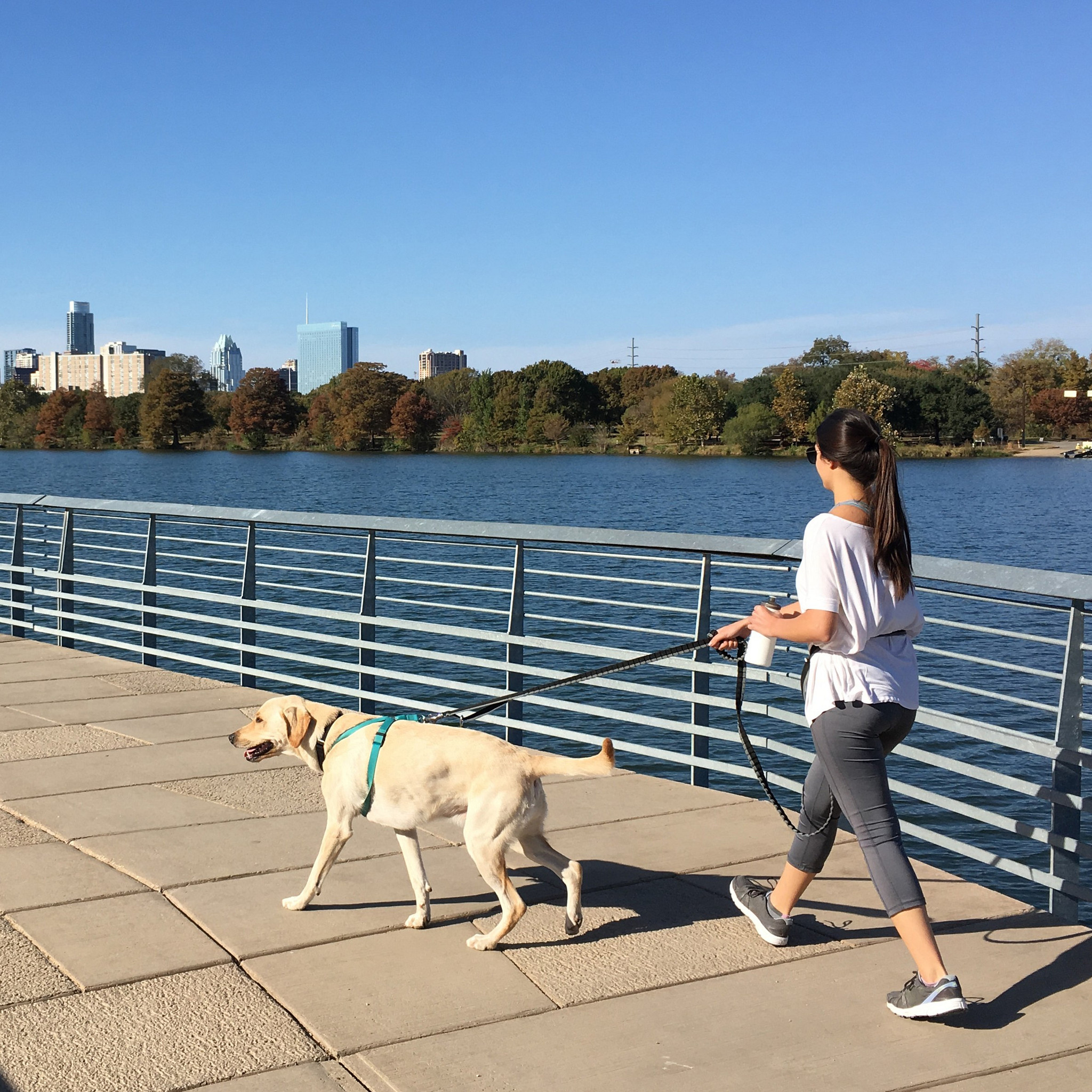 Woman walking dog at the boardwalk on Lady Bird Lake