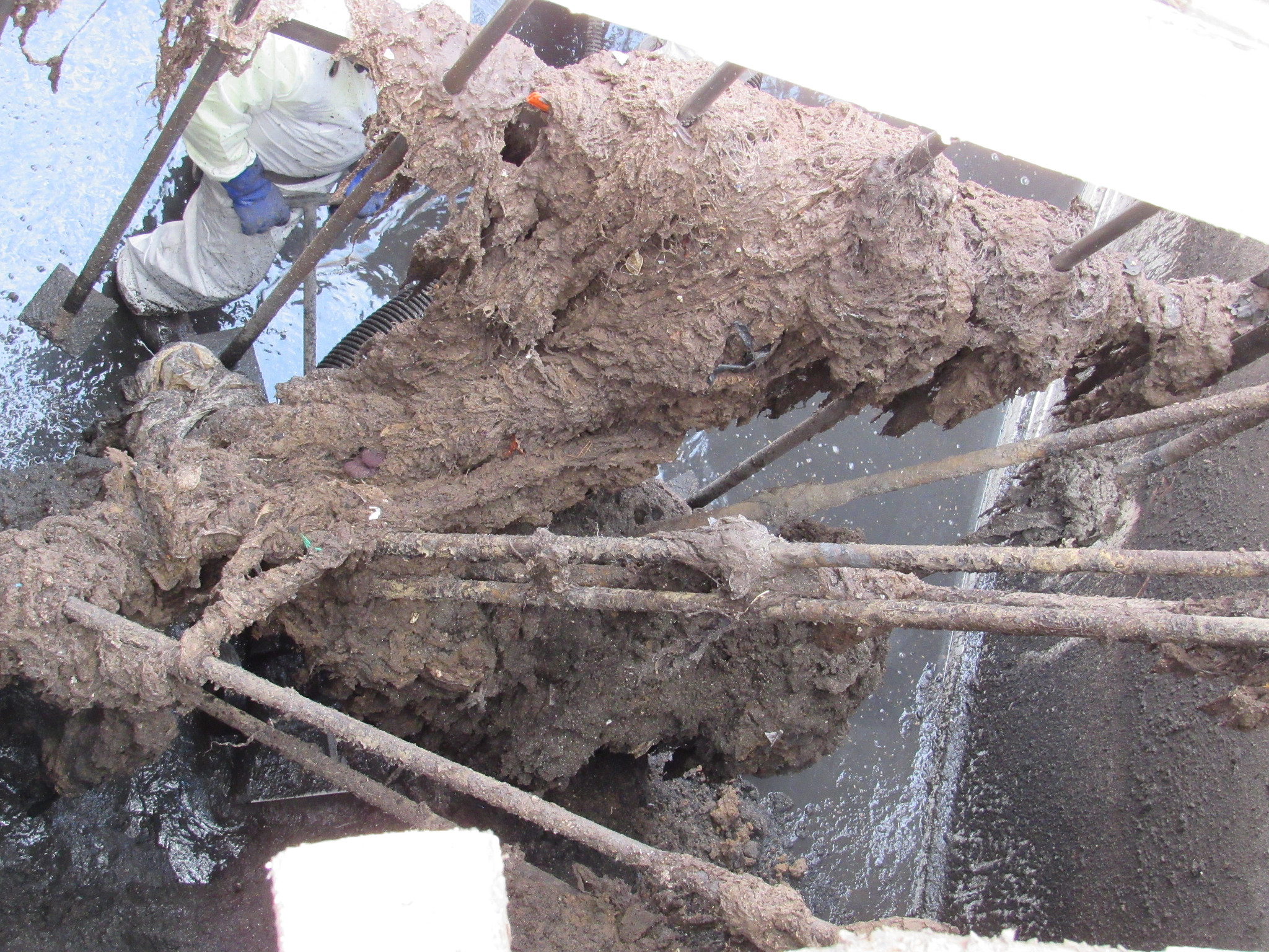 An Austin Water employee in a hazmat suit hand cleaning a wastewater treatment basin. The large blob consists of hardened fat, oil, grease, flushable wipes, plastic, and other inorganic material flushed into the wastewater system.