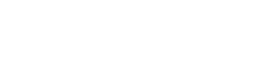 Austin-Travis County Emergency Medical Services Logo White