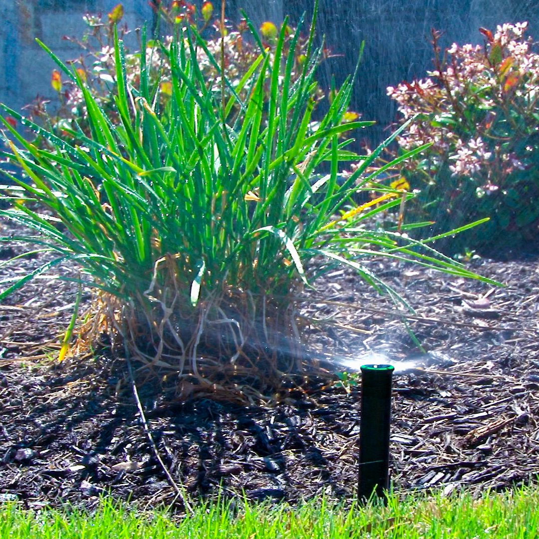 A sprinkler system watering outdoor plants in a yard.