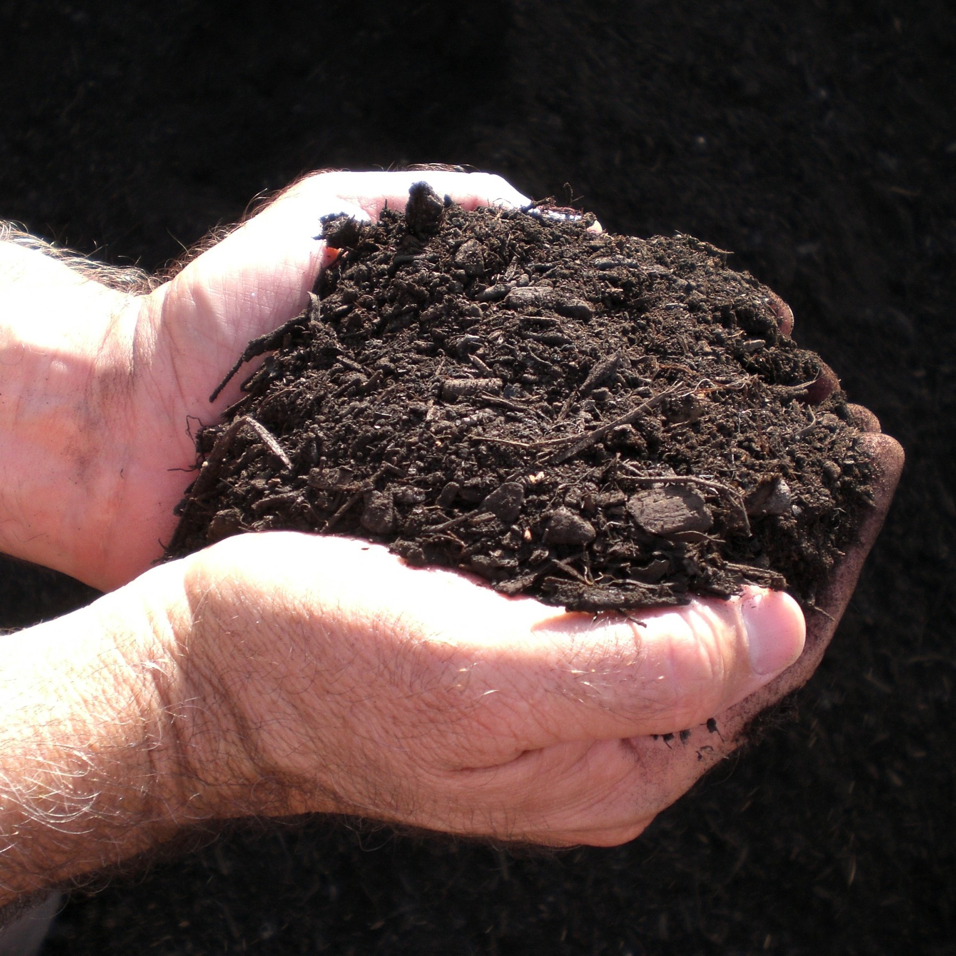 Water - Web_dillo-dirt-feature-sq-2