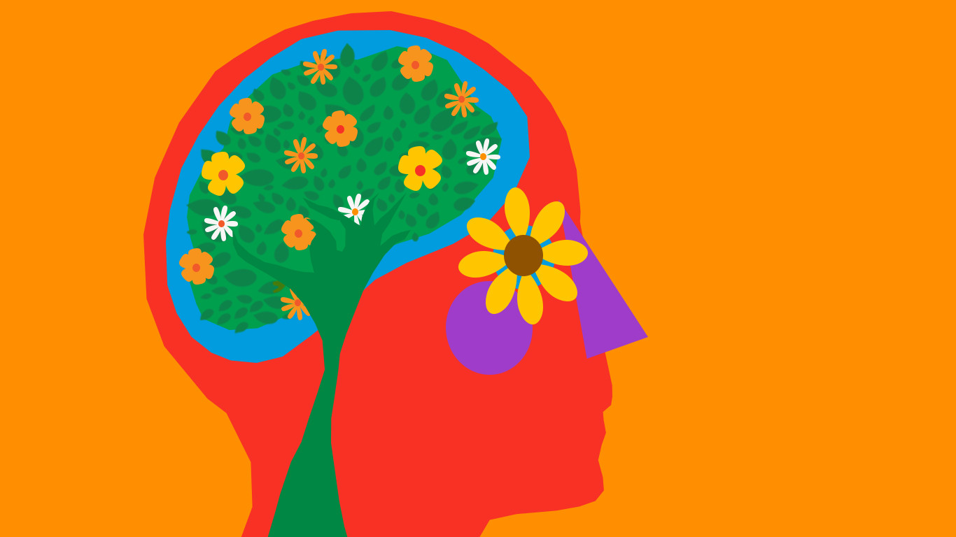 colorful head with a nature tree