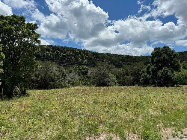 view of hillside showing trees and grass and clouds in the sky