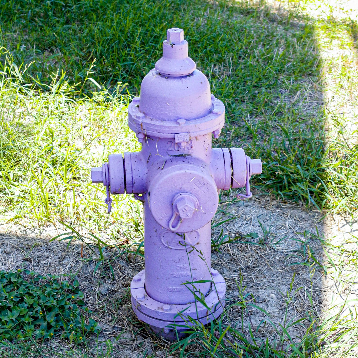 Water - Web_reclaimed-water-purple-hydrant