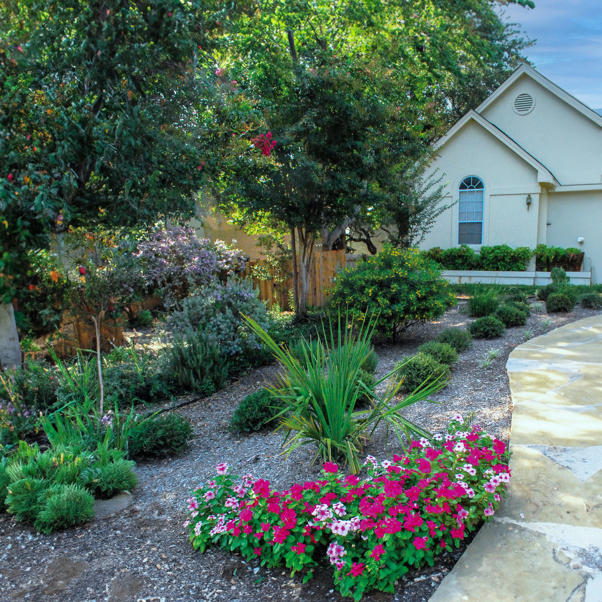 A view of a Waterwise Landscape in the yard of a home