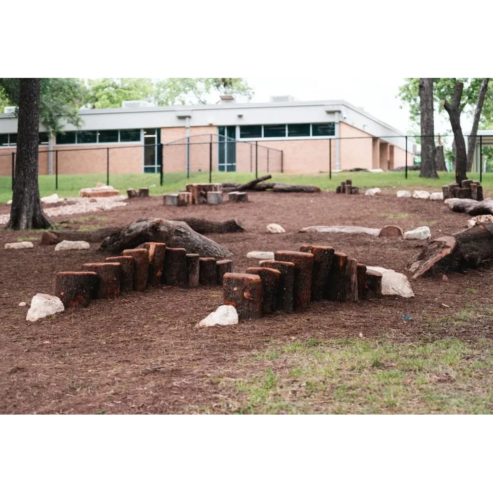 Sanchez School Park nature play area