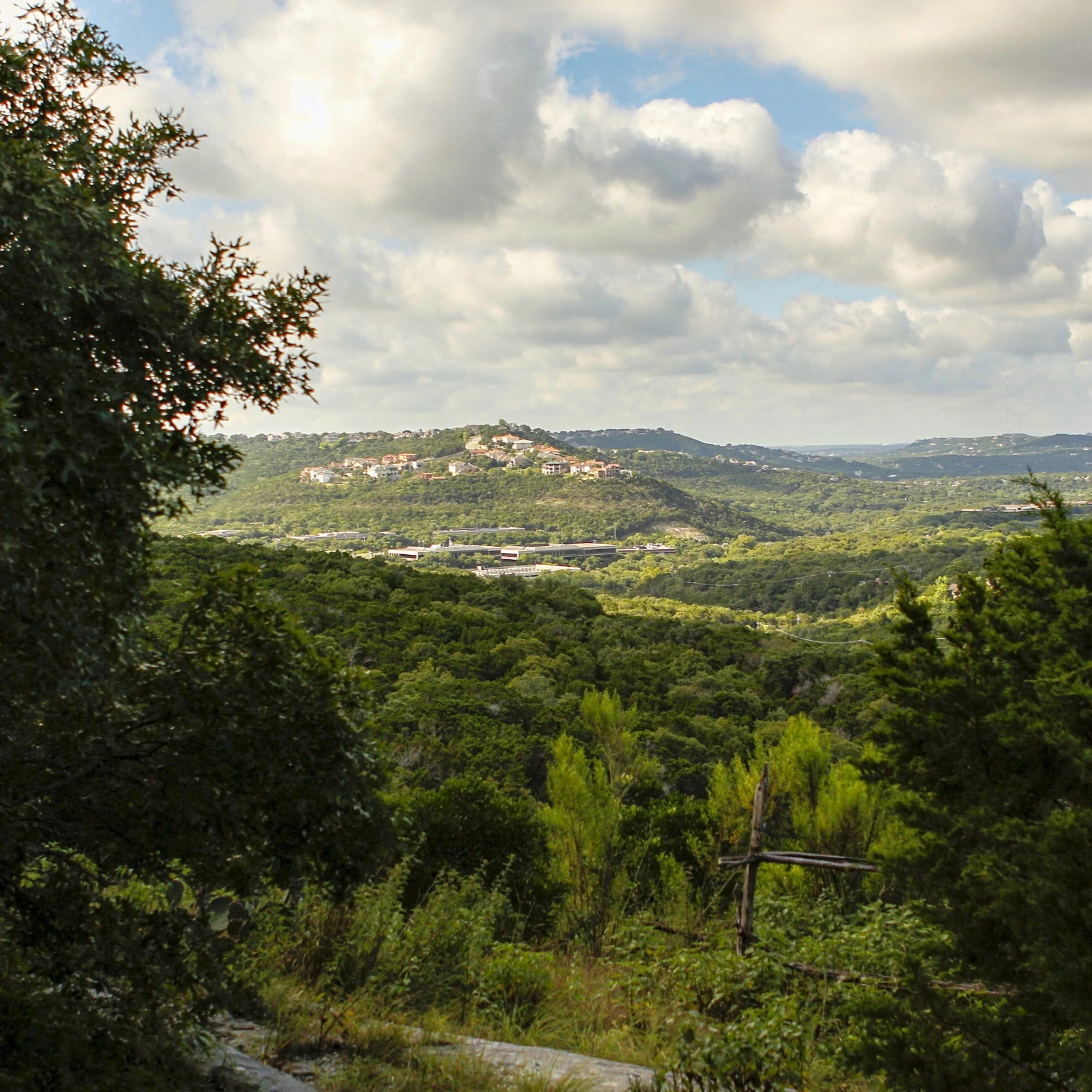 A view of a landscape in Austin Water's Wildlands, with trees and other greenery, rolling hills, and buildings in the distance.