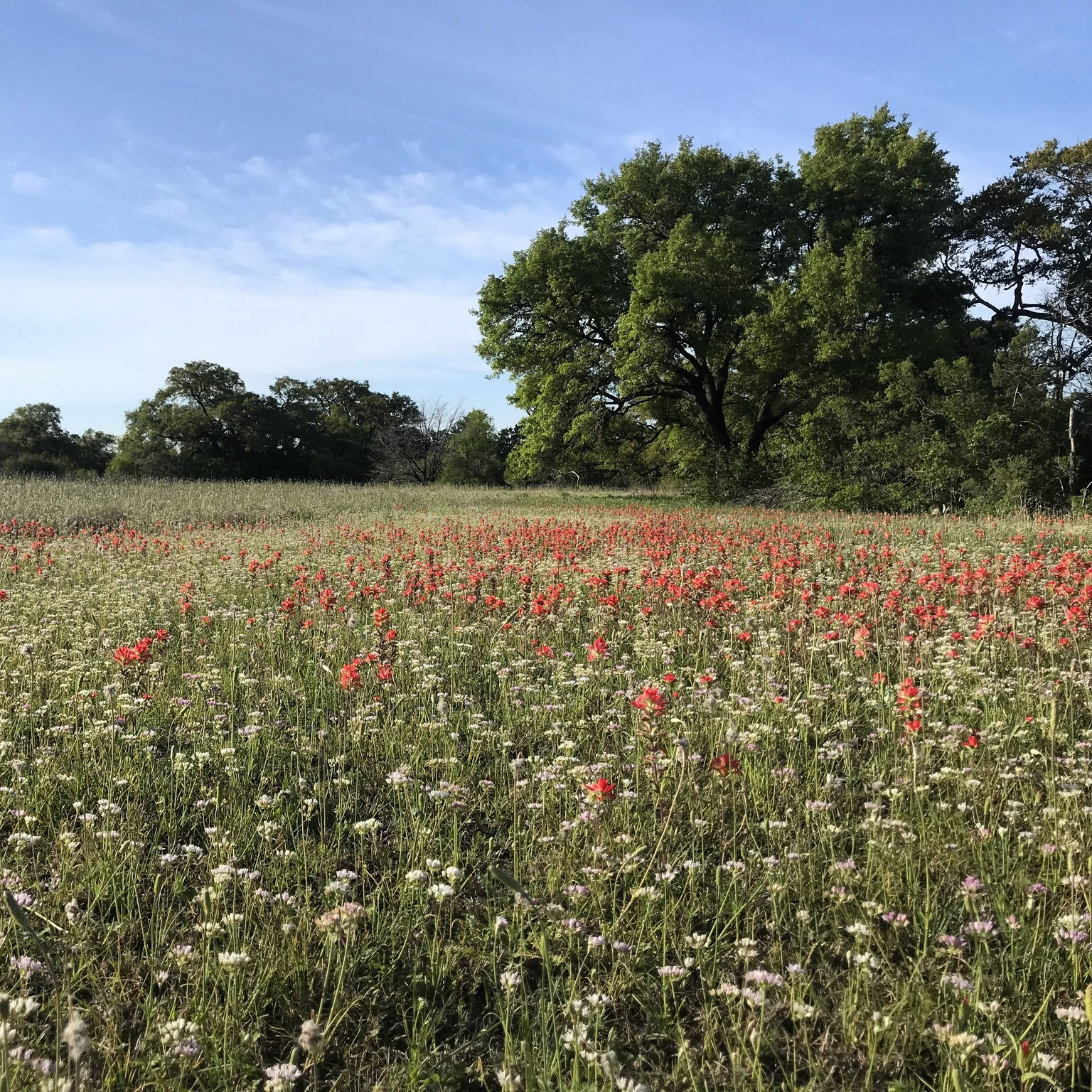 wildlands-feature-sq-1