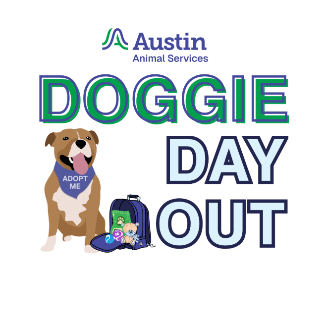 Brown dog sitting next to an open backpack with toys for overnight stay. 