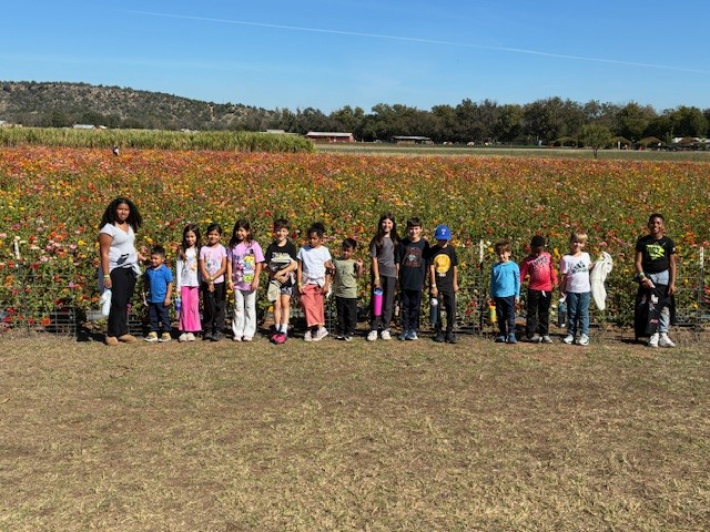 Dove Springs Recreation Center C-Day Camps