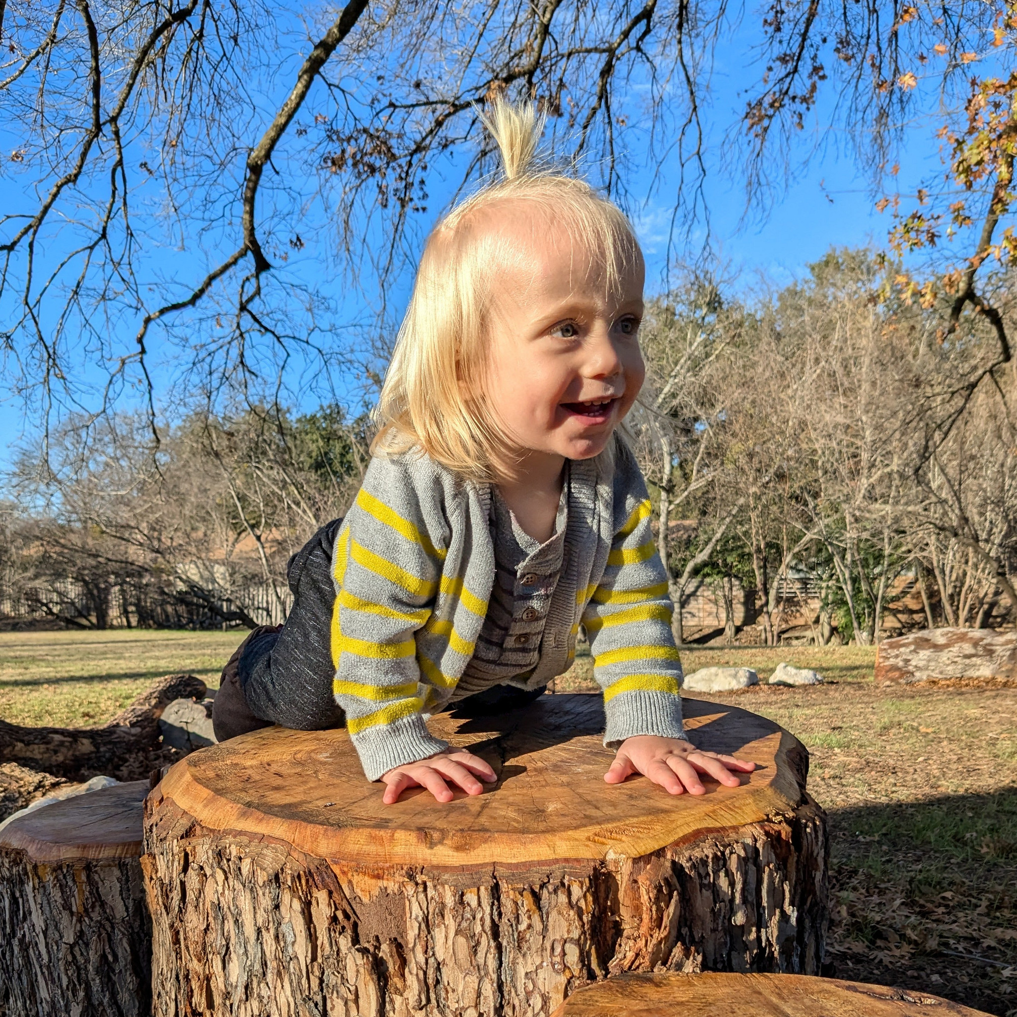 A toddler climbs on stumps in a nature play area