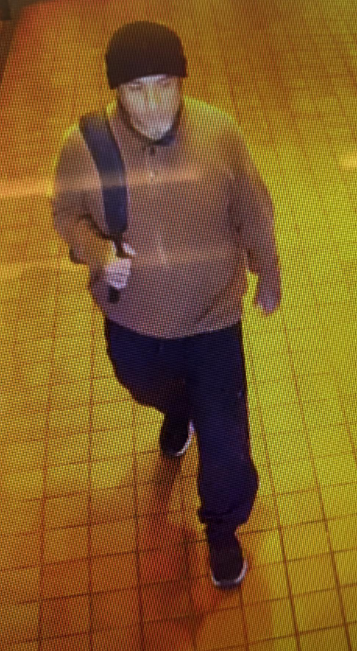 rundberg vehicle theft suspect