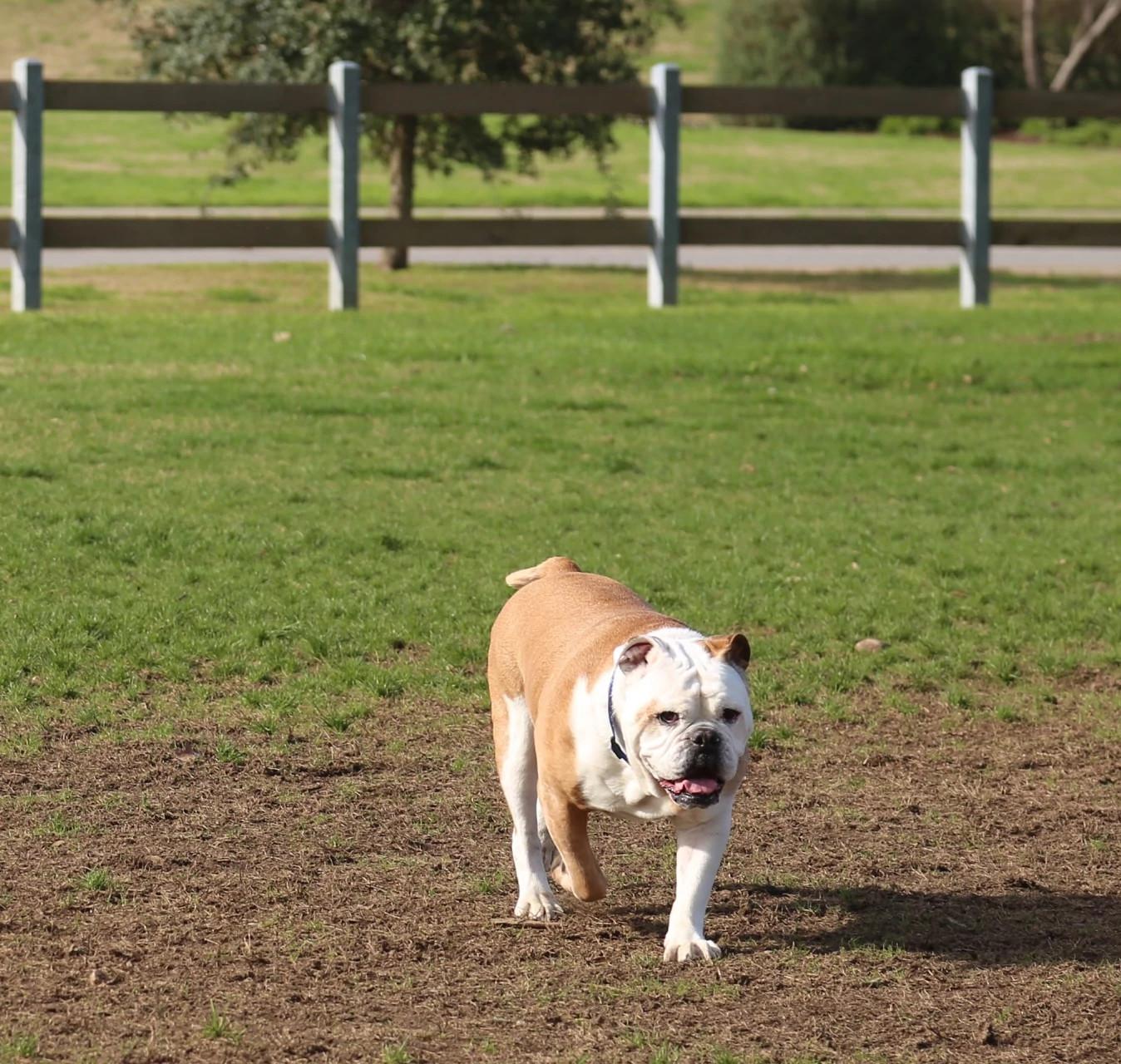 Parks and Recreation - Web_Vic Mathias Shores7