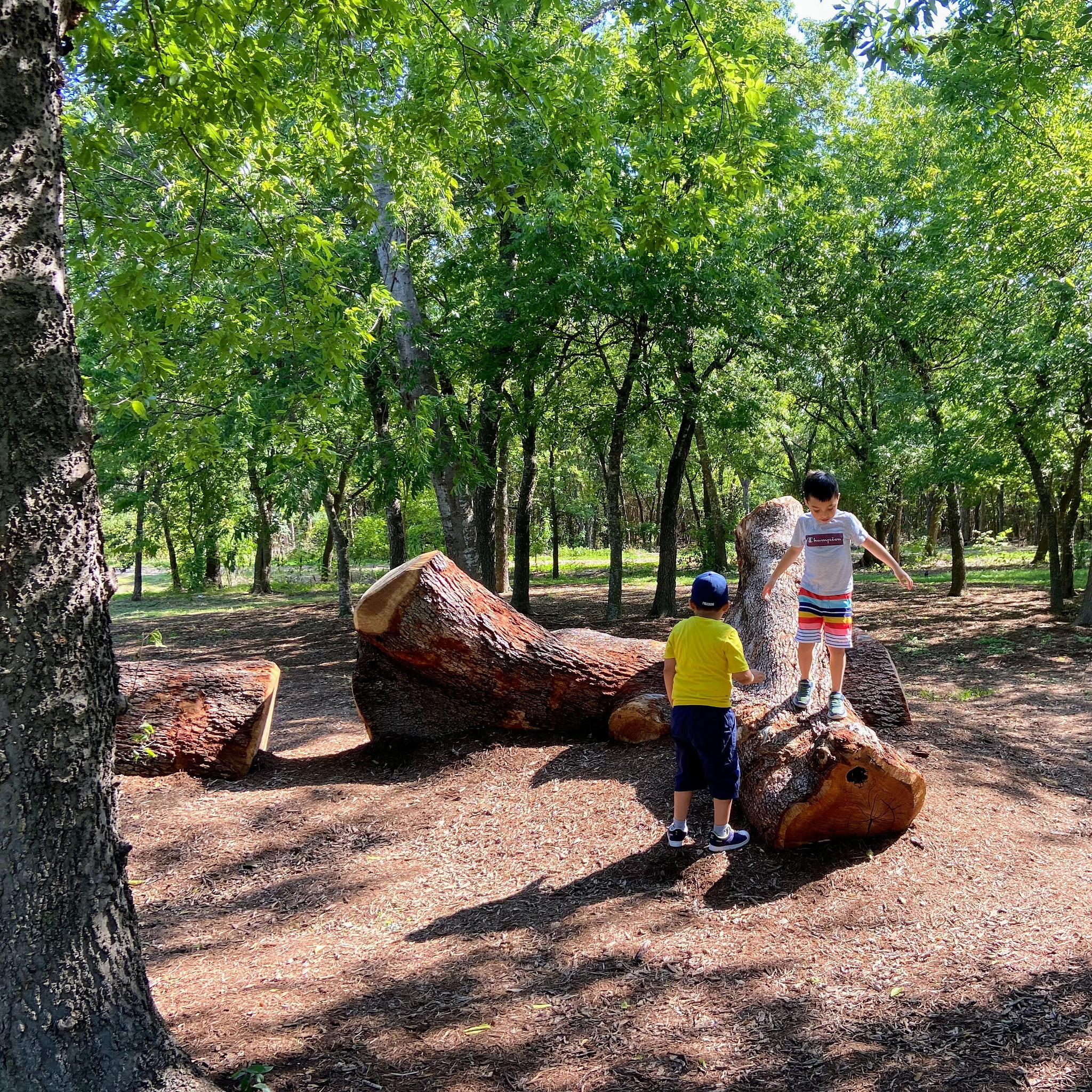 Two children play on a log at the Kendra Page Park nature play area