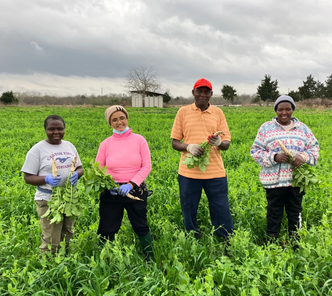 Four people stand together in a field at the Refugee Collective holding vegetables.