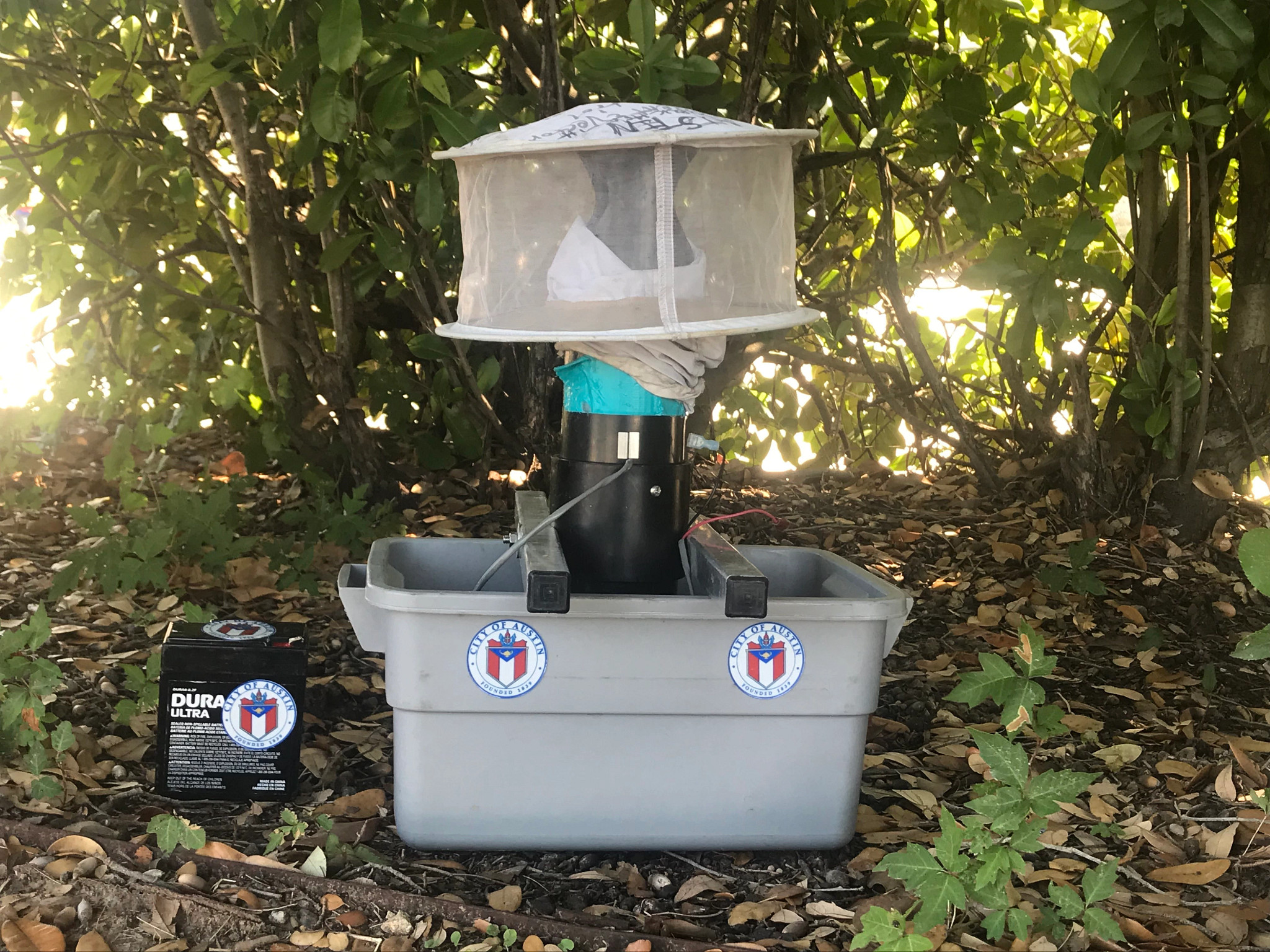 Mosquito Trap set up